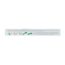 Immuno booster 15ml bio 10 ampollas