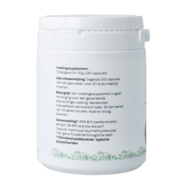 Extrait de Chaga bio 120 Gélules