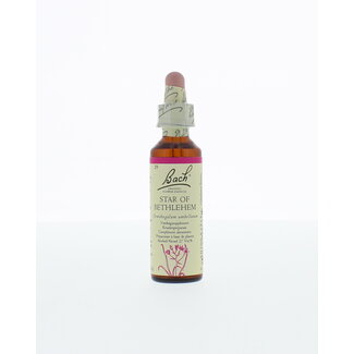Étoile de Bethléem 20 ml