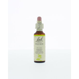 Églantine (Wild Rose) 20 ml