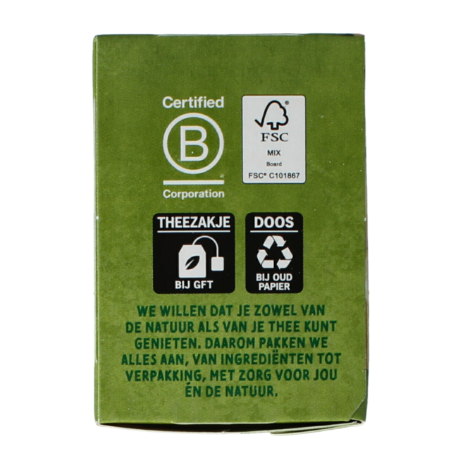 Organic Green Tea with Ginger 20 Bags