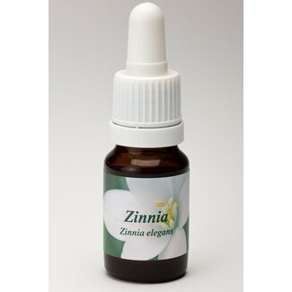 Star Remedies Zinnia 10 Millilitres