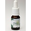 Zinnia 10 Millilitres