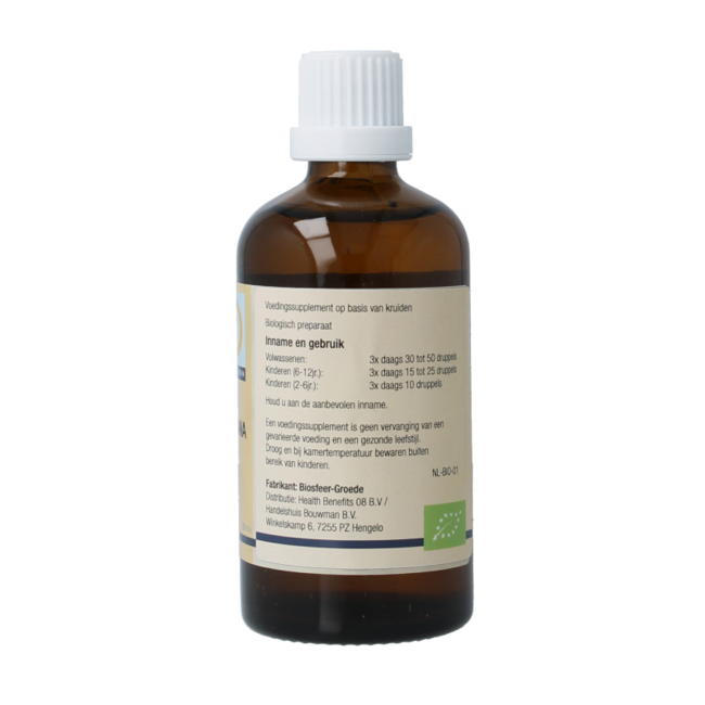 Pinus montana bio 100 ml