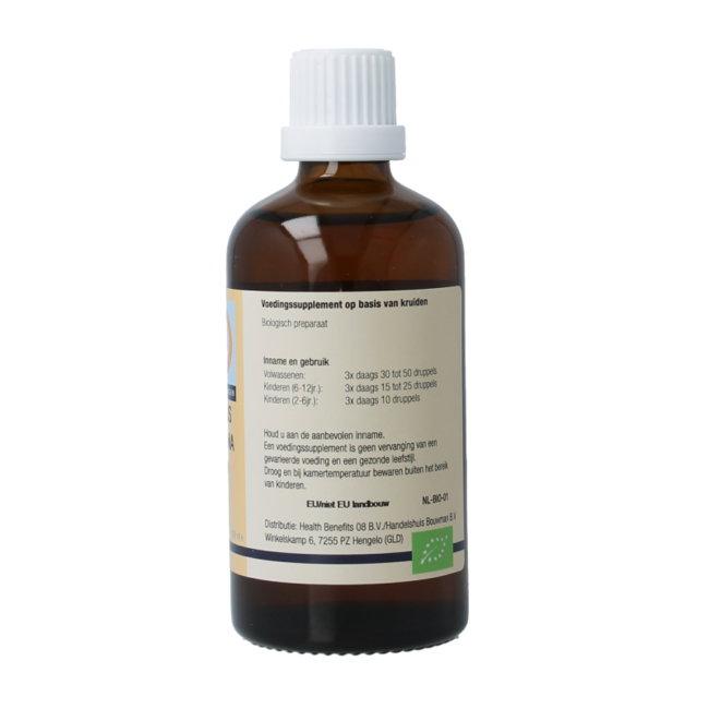 Alnus incana organic 100 Millilitres