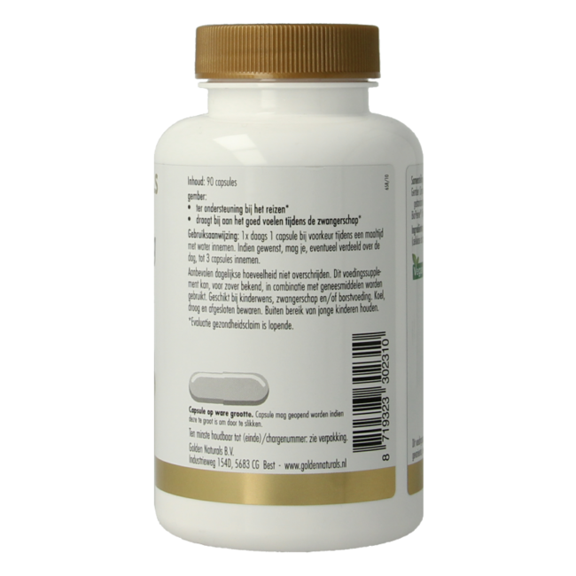 Ginger 300mg 90 Vegetarian Capsules