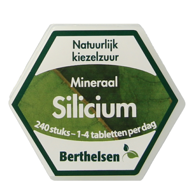 Silizium 20 mg 240 Tabletten