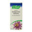 Passiflora beruhigende Tabletten 200 Tabletten