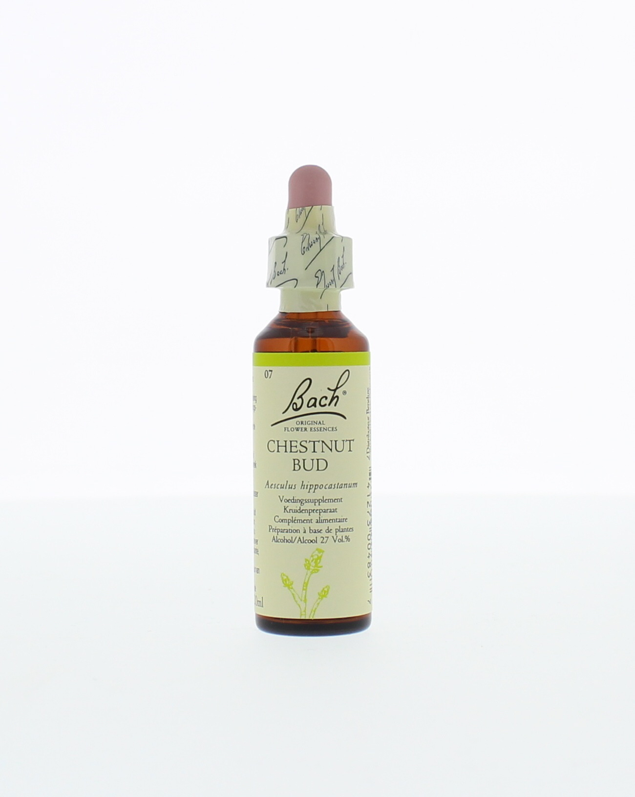 Bach Bocciolo di Castagno (Chestnut Bud) 20 Millilitri