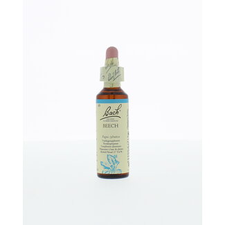Bach Beech (Haya) 20 ml