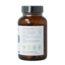 DPP-IV biocore enzymes 100 mg 90 Gélules végétariennes