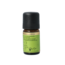 Himalaya-Tanne Bio 5 Milliliter