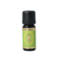 Stone Pine 10 Millilitres