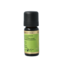 Stone Pine 10 Millilitres