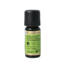 Stone Pine 10 Millilitres
