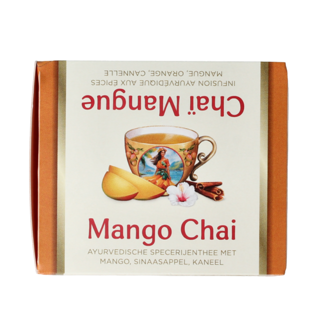 Mango Chai Bio 17 Beutel
