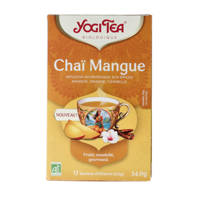Mango Chai Bio 17 Beutel