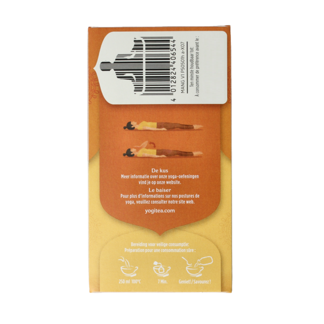 Mango chai bio 17 bolsitas