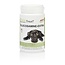 PhytoTreat Glucosamina extra perro 90 comprimidos