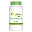 Elvitum Hyaluronic Acid 100 Capsules
