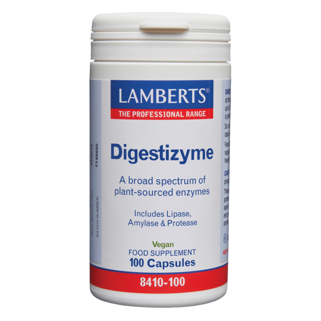Digestizyme Digestive Enzymes 100 Vegetarian Capsules