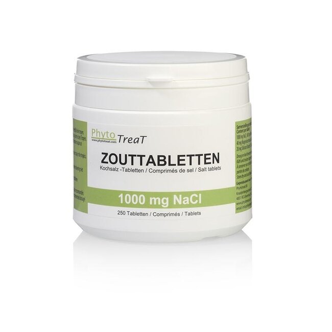 PhytoTreat Comprimés de Sel 1000mg NaCl 250 Comprimés