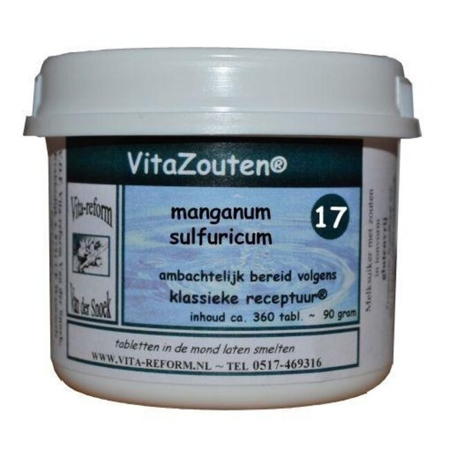 Vitazouten Manganum sulfuricum VitaZout nr. 17 360 Tabletten