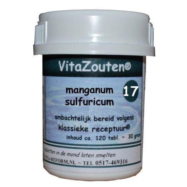 Vitazouten Manganum sulfuricum VitaZout nr. 17 120 Tabletten