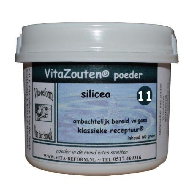 VitaSalze Silicea Pulver Nr. 11 60 Gramm
