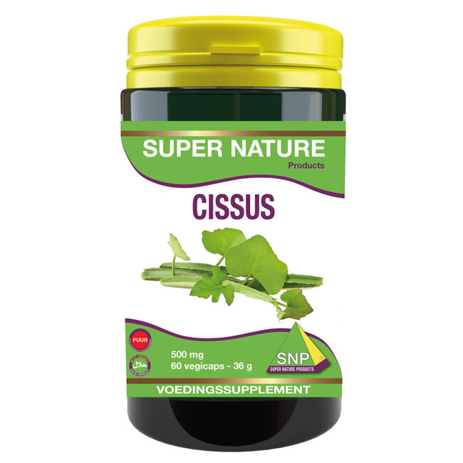 SNP Cissus 500mg pure 60 Capsules