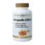 Ashwagandha KSM-66 60 Vegetarian Capsules