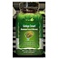 Irwin Naturals Ginkgo Smart 60 Softgel