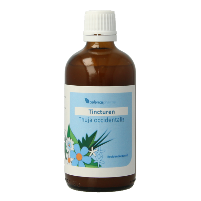 Balancepharma Thuja occidentalis Tinktur 100 Milliliter