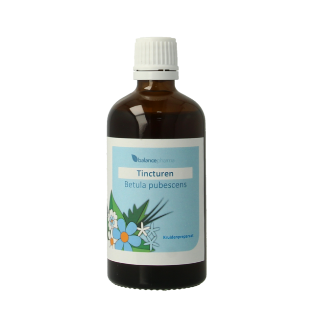 Balancepharma Betula pubescens tincturen 100 Milliliter