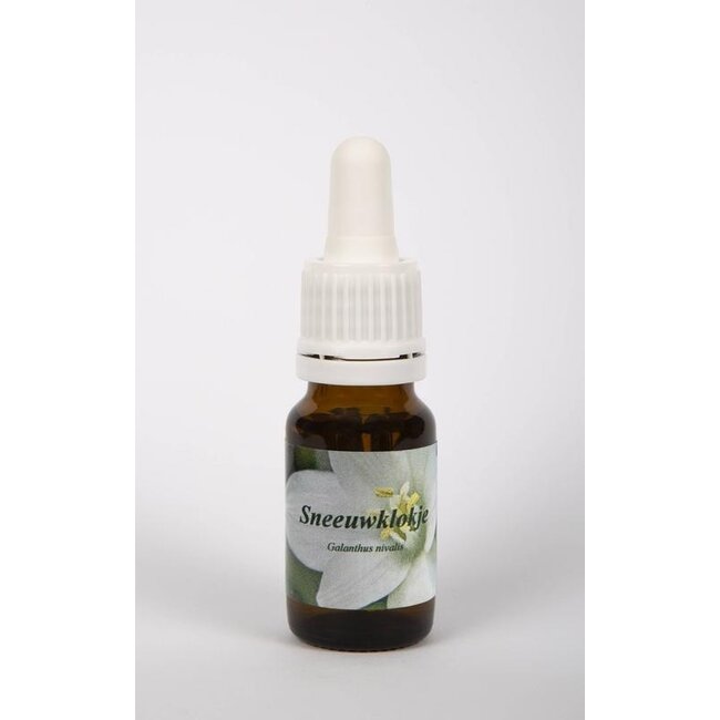 Star Remedies Bucaneve 10 Millilitri