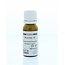 Rhus tox 30, 200 Stück