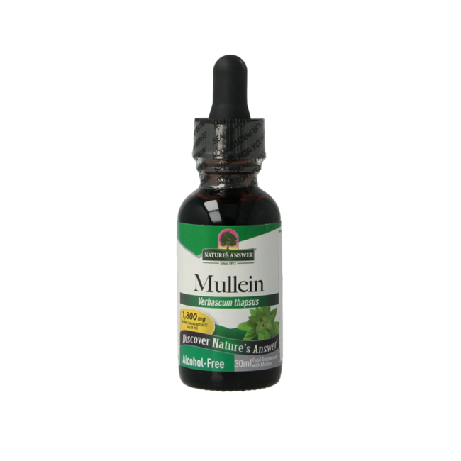 Extrait de bouillon blanc (Verbascum thapsus) sans alcool 30 ml