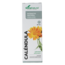Extrait de Calendula officinalis XXI Soria Natural 50 ml