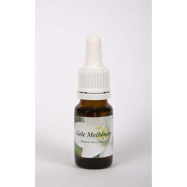 Star Remedies Aubépine jaune 10 ml