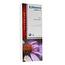 Fytostar Echinacea & Propolis Sirup Bio 250 Milliliter