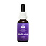 Australische Busch-Meditationsessenz 30 Milliliter