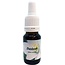 Star Remedies Ail des Ours 10 ml