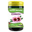 SNP Echinacea 300 mg pur 60 Vegetarische Kapseln