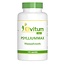 Elvitum Psylliummax Fibre di cuticola di Psillio 120 Capsule Vegetariane