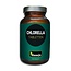 Hanoju Chlorella Tabletten PET-Flasche 300 Tabletten