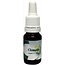Star Remedies Clematis Madame Le Coultre 10ml