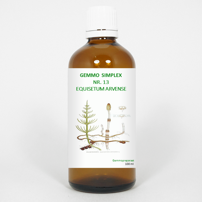 Balancepharma Gemmo simplex 13 equisetum arvense 100 Milliliter