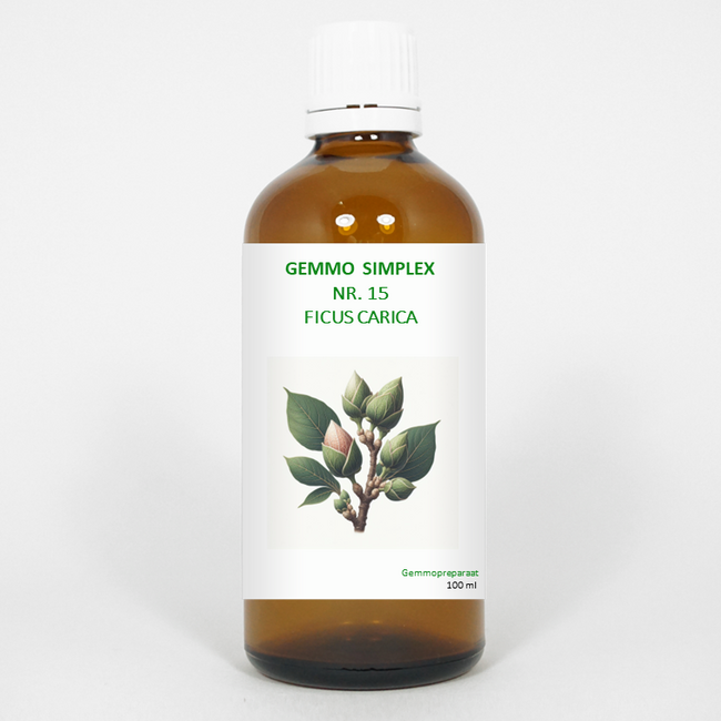 Balancepharma Gemmo simplex 15 ficus carica 100 Millilitri
