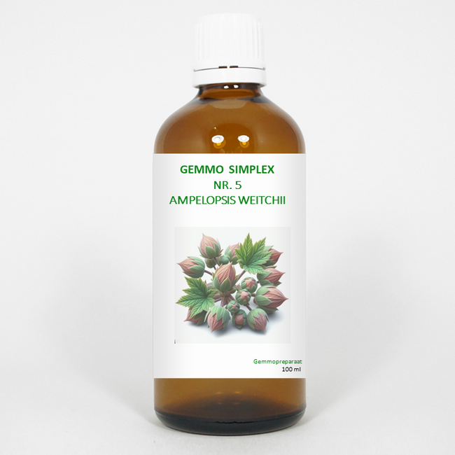 Balancepharma Gemmo simplex 5 ampelopsis weitchii 100 Millilitri