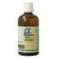 GO Pinus montana 100 Milliliter